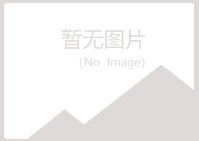 邳州夏日会计有限公司